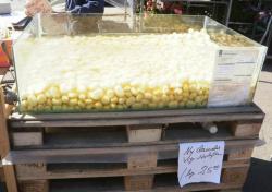 This tub of well-scrubbed potatoes earned a 'smiley face.'